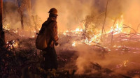 MMA diz que 727 profissionais atuam contra incêndios no Pará e Maranhão