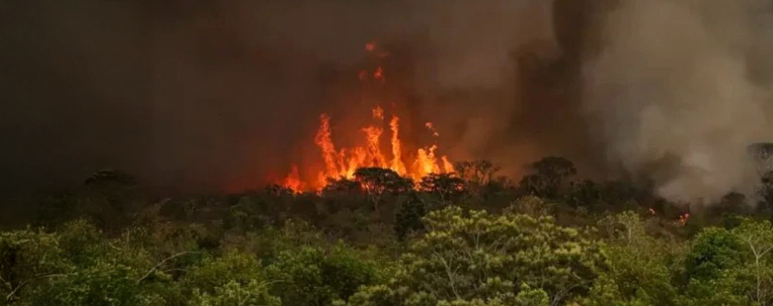 Amazônia e Pantanal batem recorde de emissões de carbono em 2024
