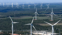 Brasil registra recorde de geração de energia eólica em novembro