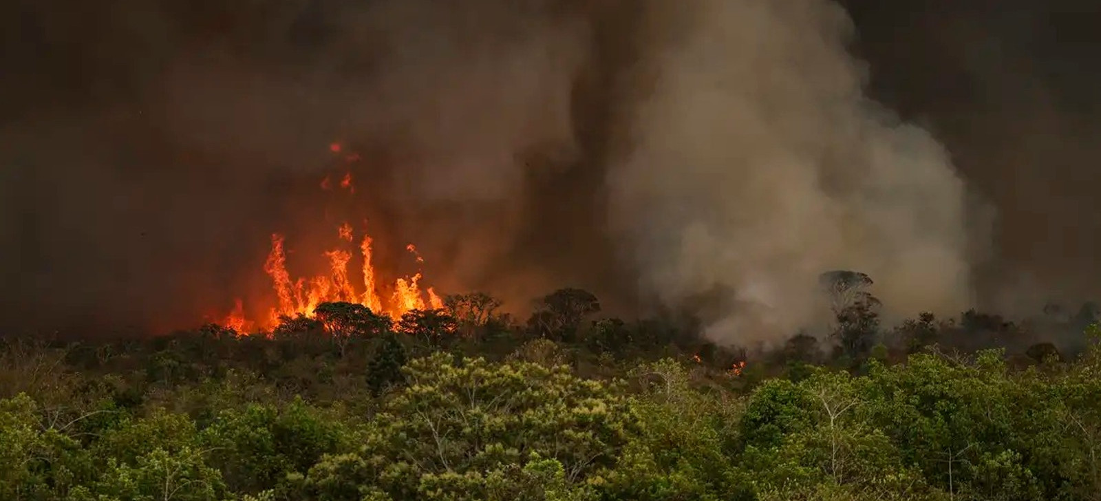 Câmara aprova crédito para ações de combate às queimadas na Amazônia