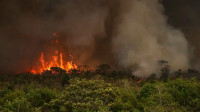 Câmara aprova crédito para ações de combate às queimadas na Amazônia
