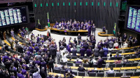 Veja como votaram os deputados da Amazônia Legal em proposta para castração química de pedófilos