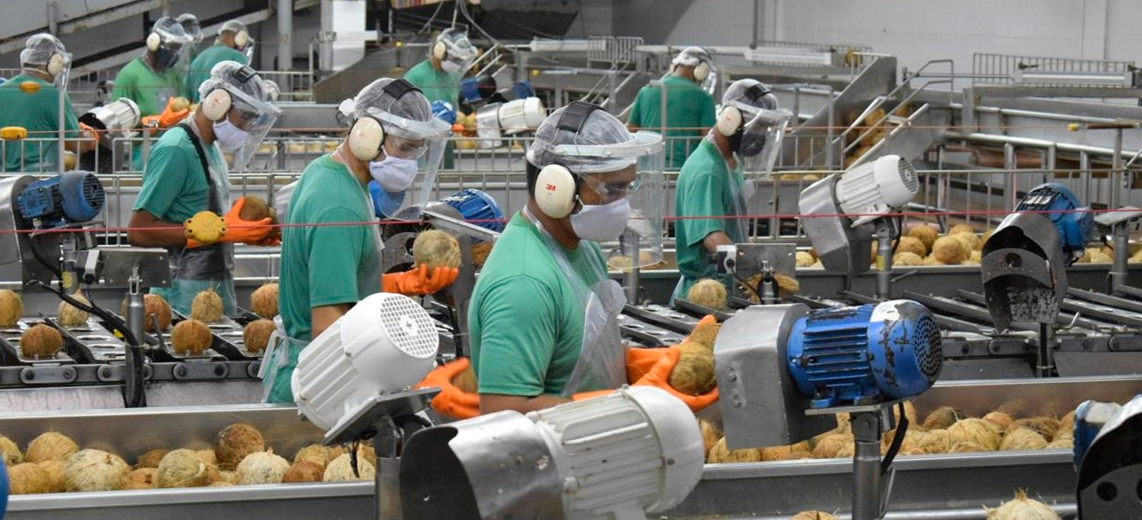 Produção industrial no Pará cresce acima da média nacional