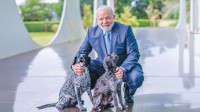 Lula sanciona lei para criar Cadastro Nacional de Animais Domésticos