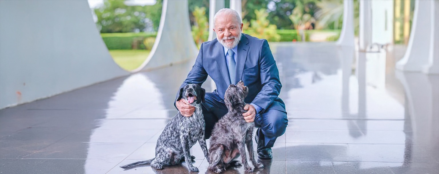 Lula sanciona lei para criar Cadastro Nacional de Animais Domésticos