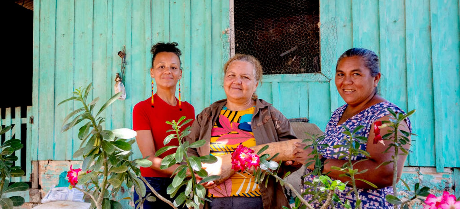 Em meio à degradação da Amazônia, mulheres buscam agricultura mais sustentável