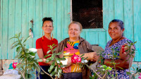 Em meio à degradação da Amazônia, mulheres buscam agricultura mais sustentável