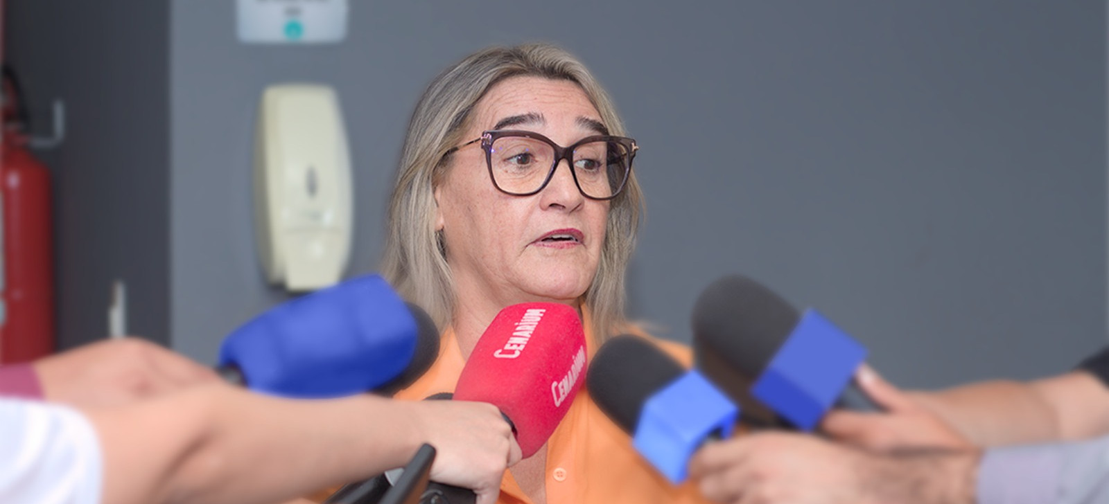 A promotora de Justiça Luissandra Chíxaro (Luiz André Nascimento/CENARIUM)