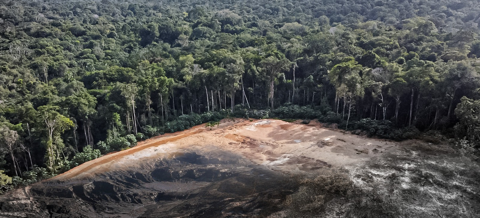 Quase 30% dos municípios autorizam corte de vegetação sem delegação de Estados