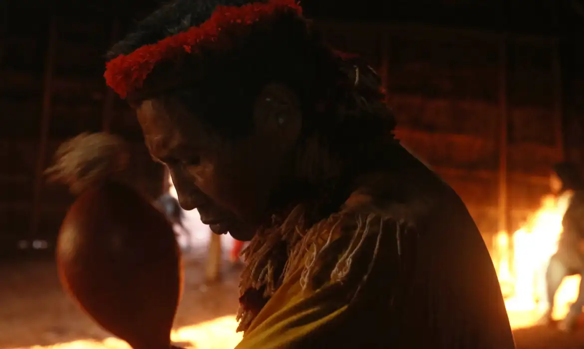 Diretora pede que cinema explore violações a indígenas na Ditadura