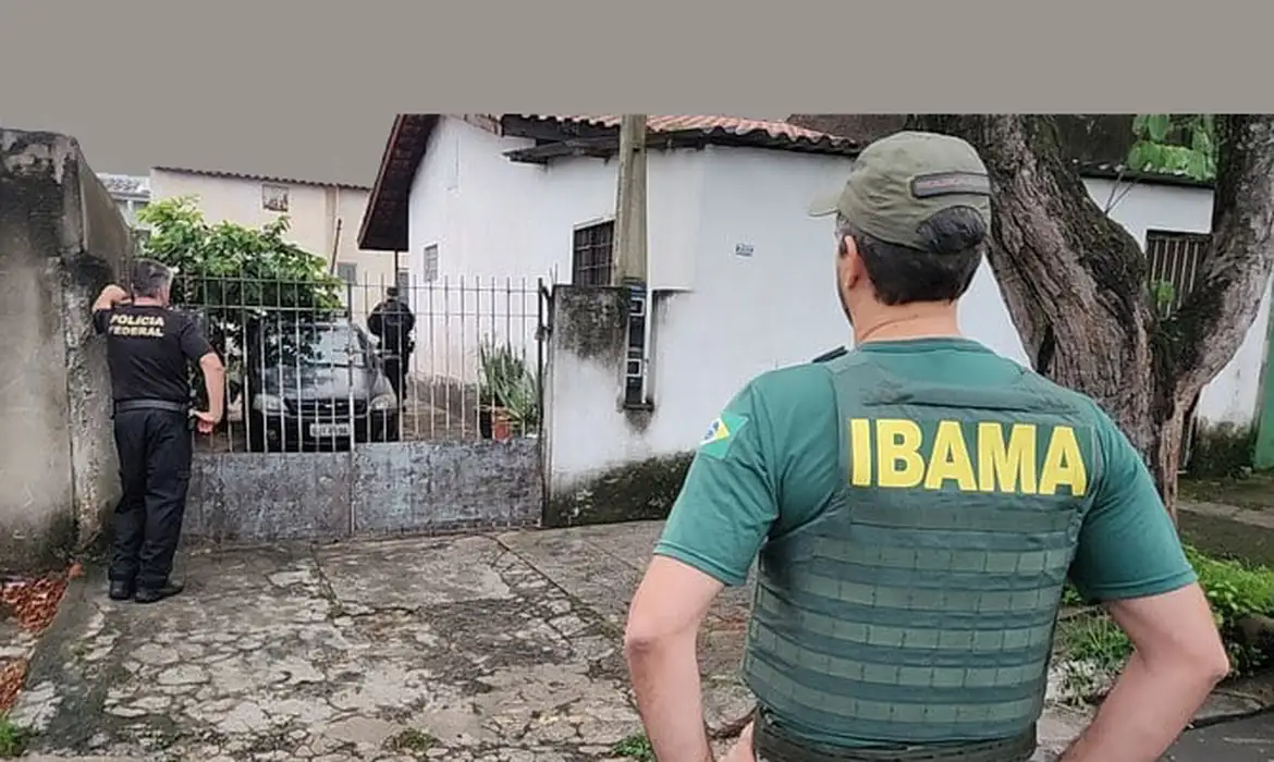 PF e Ibama resgatam 33 animais em operação contra tráfico