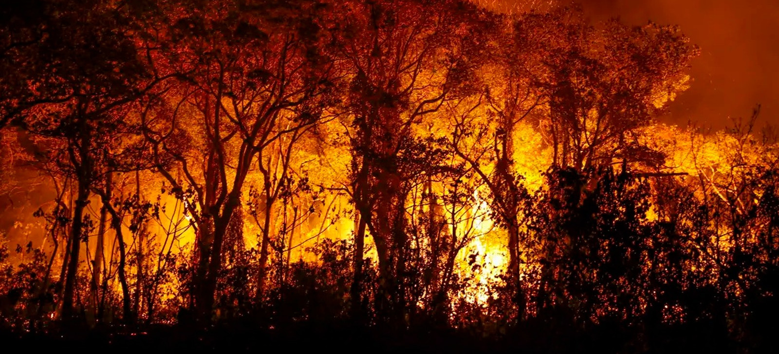 Environmental agency notifies rural properties in Brazil for fire control