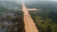 Epidemiological Alert: Highway in Brazil spreads new diseases to humans
