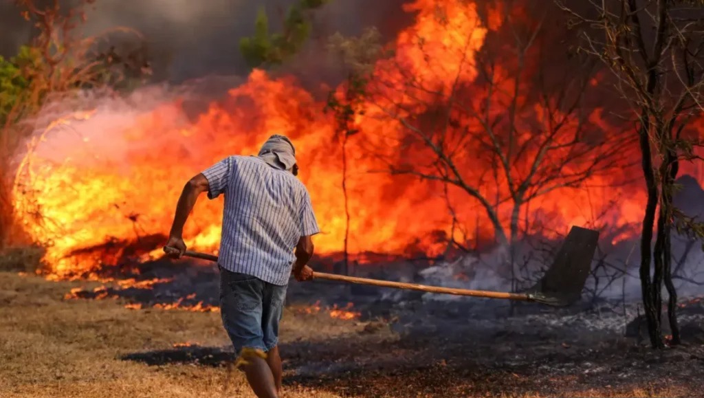 Registros aumentaram 46% em relação a 2023, segundo dados do Inpe; patamar na amazônia é o maior desde 2007 (Fábio Rodrigues-Pozzebom/Agência Brasil)