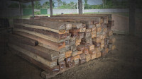Madeiras ilegais são apreendidas em serraria clandestina no Amazonas