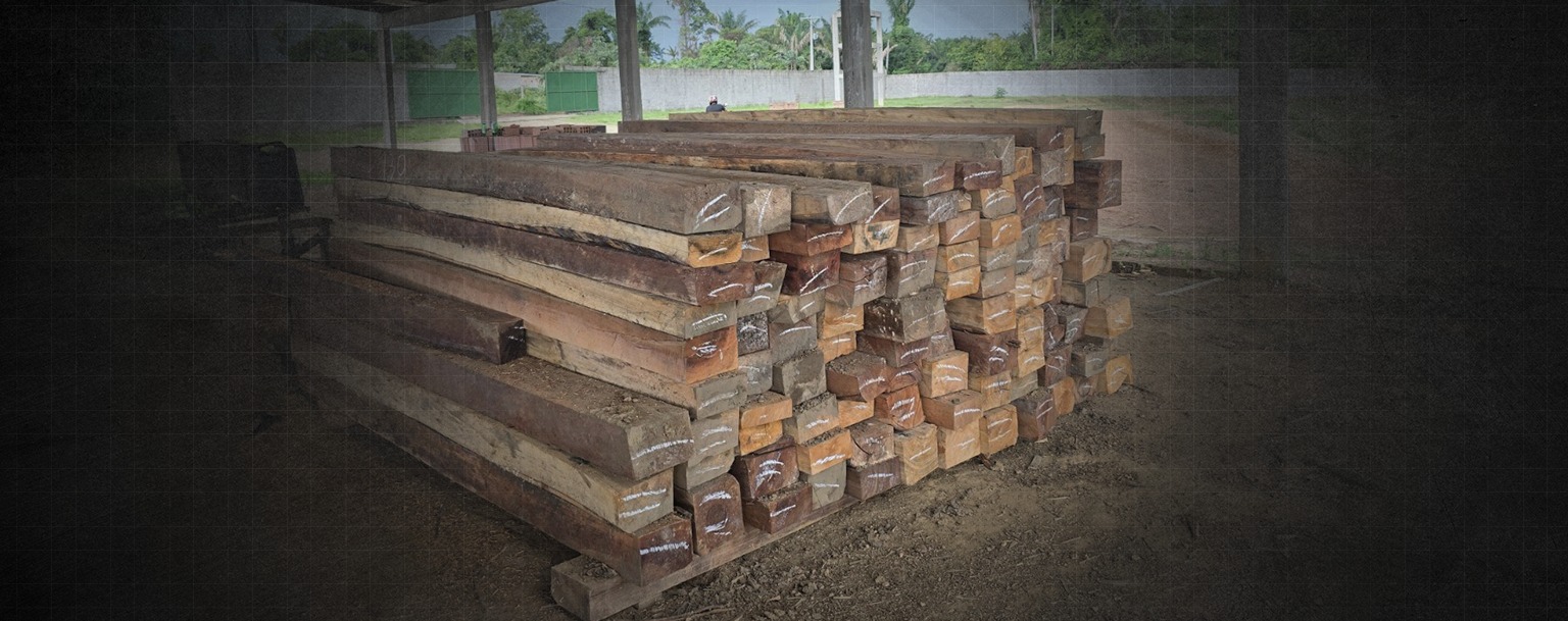Madeiras ilegais são apreendidas em serraria clandestina no Amazonas