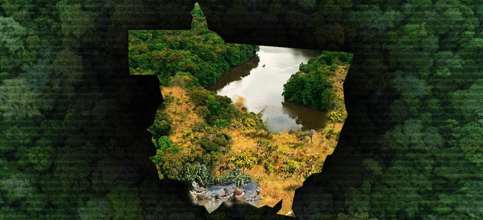 AL-MT aprova projeto que reclassifica áreas da Amazônia para Cerrado