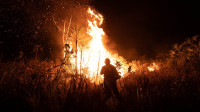 Verão e focos de incêndios causam alerta para agropecuária de Roraima