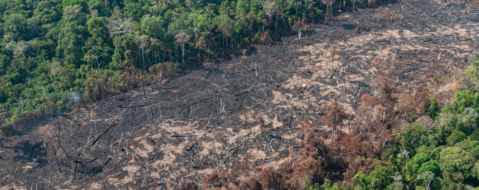 Desmatamento sobe 8,4% na Amazônia e cai 22,5% no Cerrado