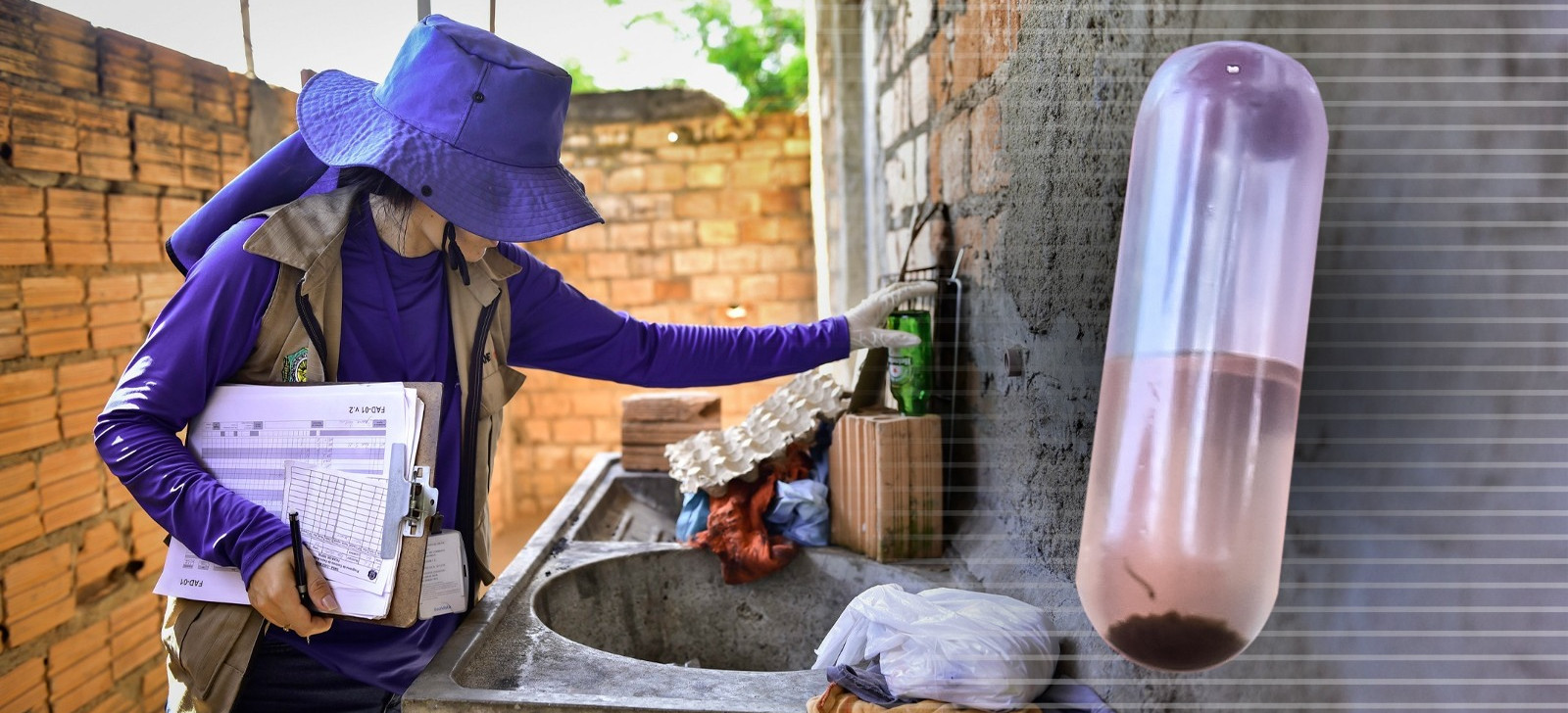 Dengue cases increase at the Brazil-Venezuela border