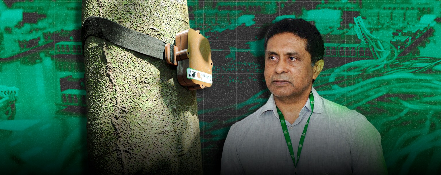 ‘Projeto Curupira’ usa tecnologia a serviço da preservação no Amazonas