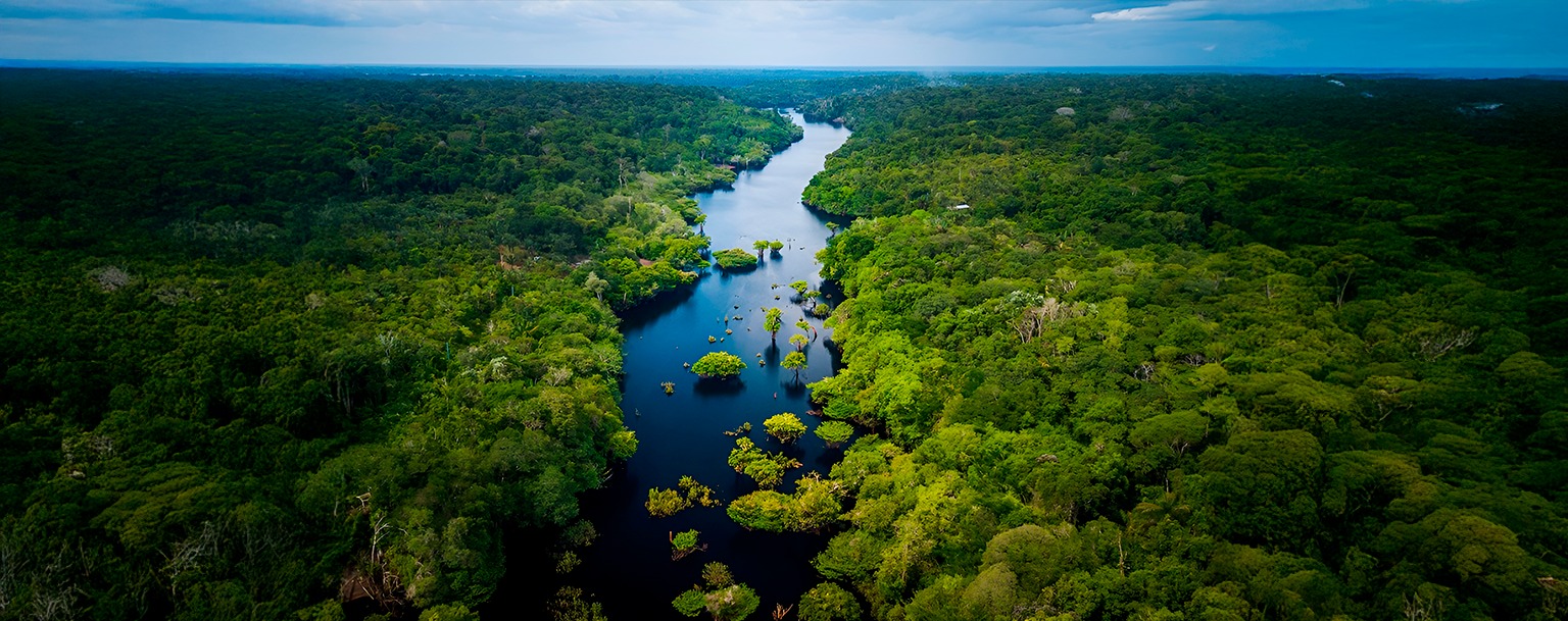 Aerial view of the Amazon (Reproduction/Adobe Stock)