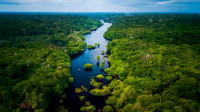 Governo de MT vai vetar projeto que reclassifica Amazônia em Cerrado