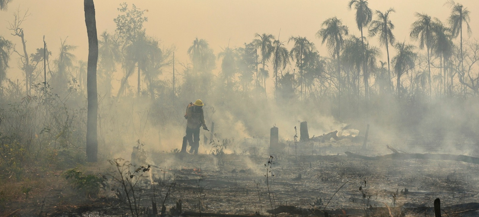 Brasil registra crescimento de 79% em áreas queimadas, aponta MapBiomas
