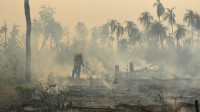 Brasil registra crescimento de 79% em áreas queimadas, aponta MapBiomas