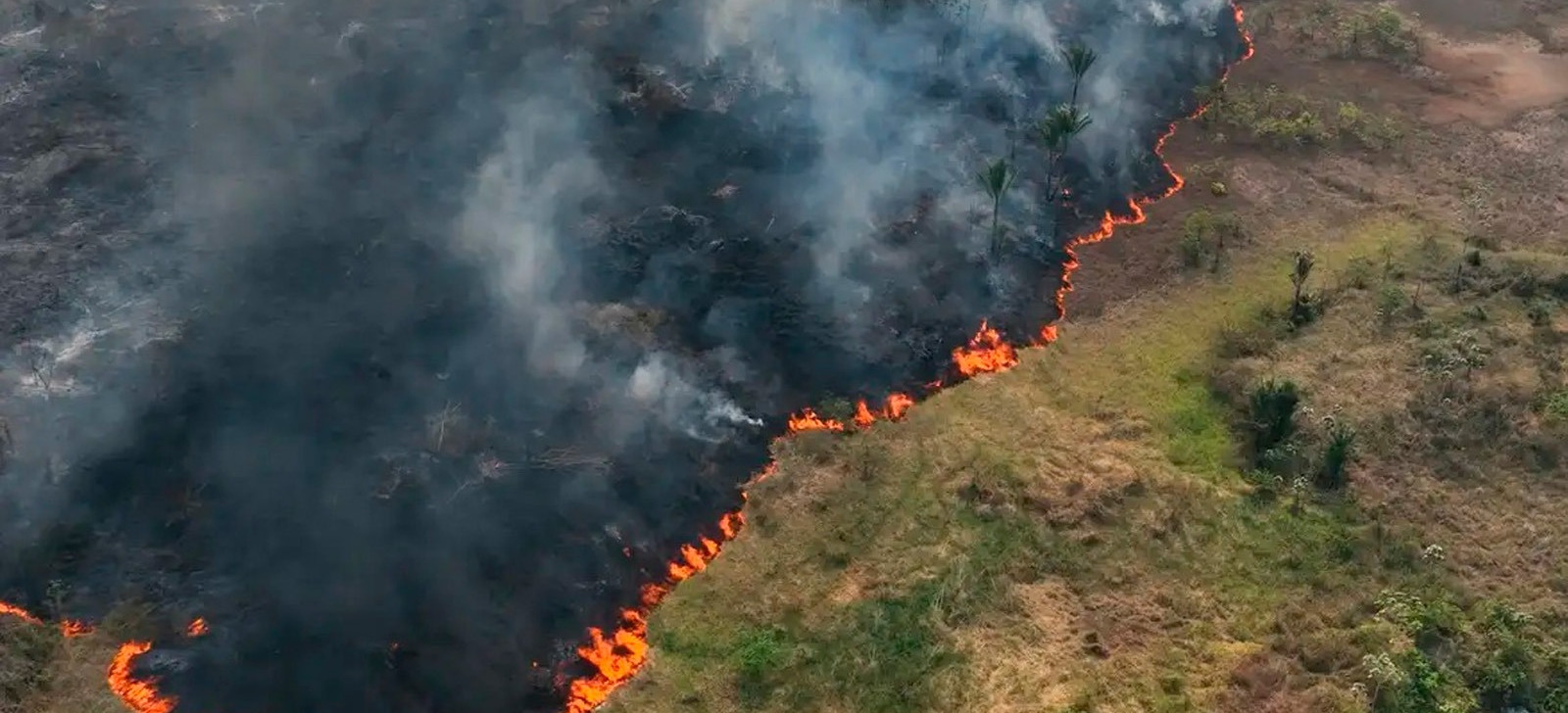 STF dá prazo de 30 dias para criação de planos contra queimadas