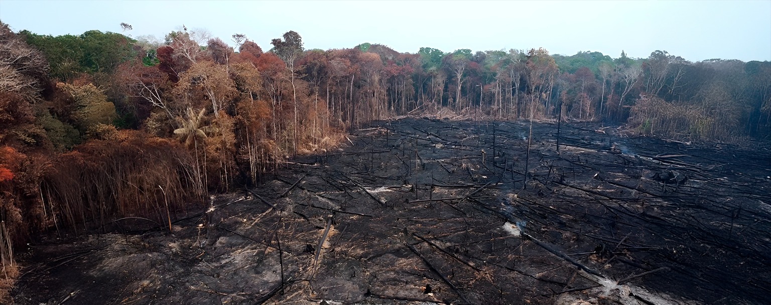 Área devastada por incêndio florestal na Amazônia (Ana Jaguatirica/CENARIUM)