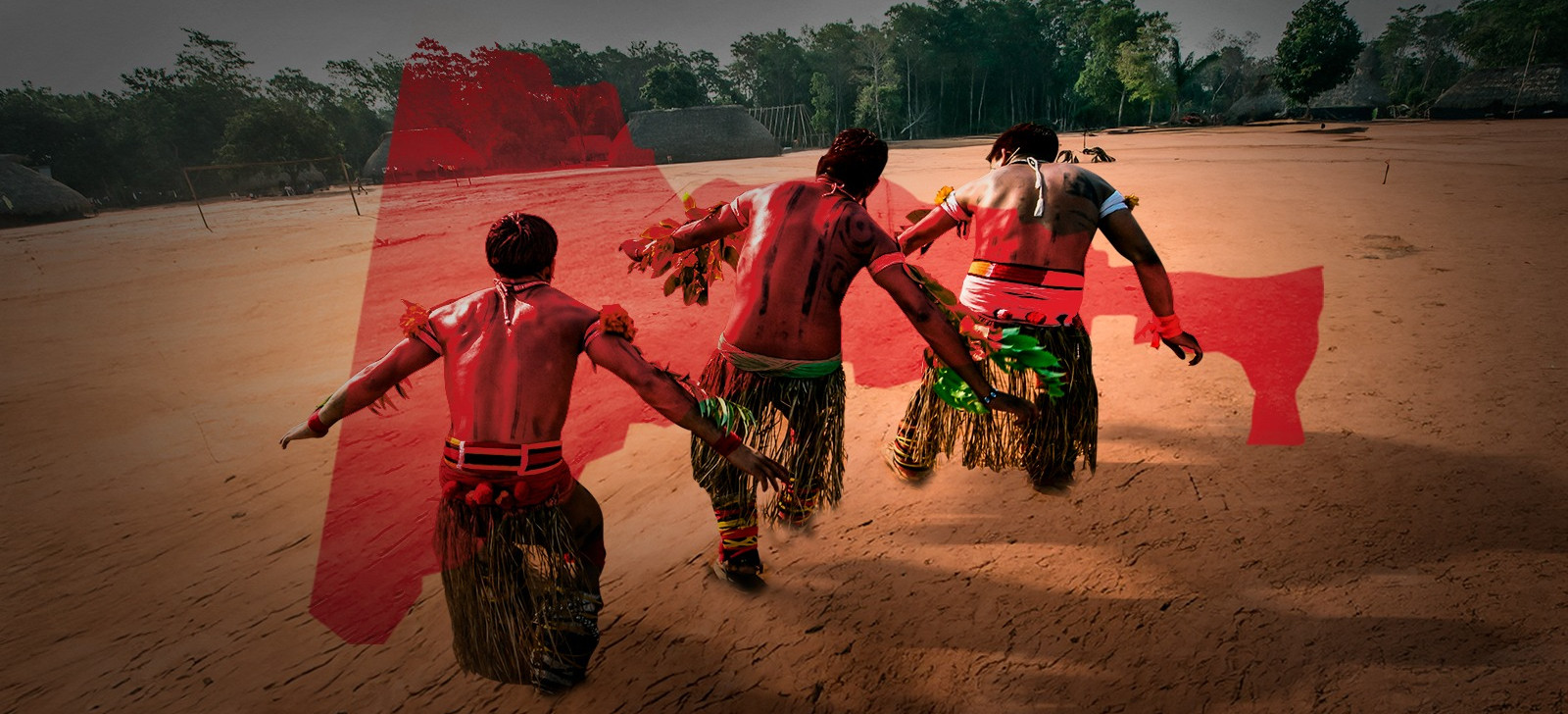 Federal Court orders Demarcation of Indigenous Territory in Amazonas