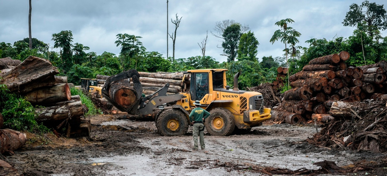 Pela primeira vez, TI Yanomami fica sem registrar desmatamento