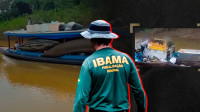 Ibama apreende madeira ilegal em TI com mais povos isolados no mundo
