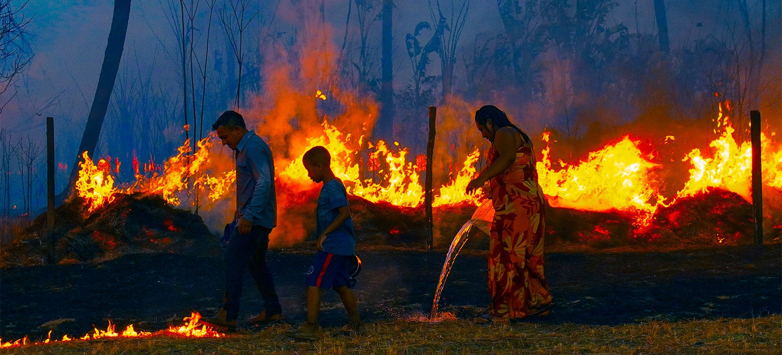 The rise in environmental crimes has been driven by deliberate forest fires (Credits: Ana Jaguatirica/CENARIUM)