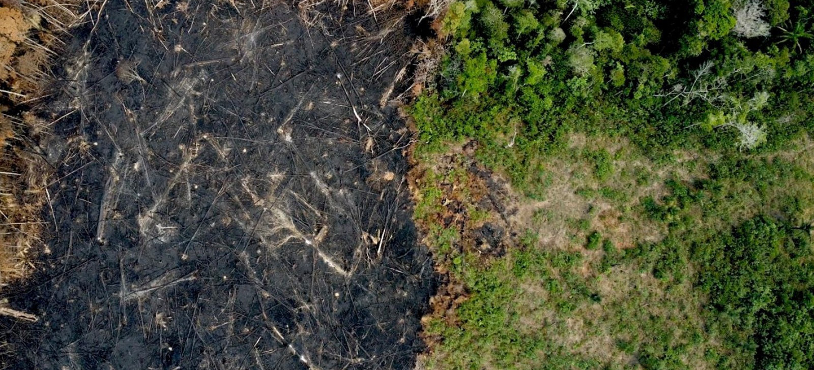 Dados integrados ajudam a combater desmatamento ilegal na Amazônia