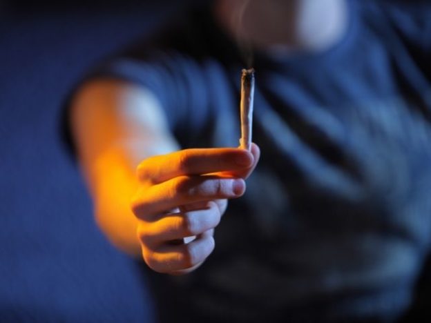 Uso de maconha em casa está ligado a intoxicações em crianças