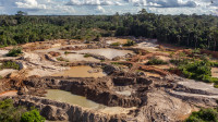 MPF denuncia exploração ilegal de cassiterita em Terra Indígena no AM