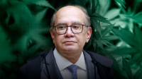 Mendes nega recursos contra descriminalização do porte de maconha