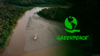 Explorar Foz do Amazonas é sabotar próprio futuro, diz Greenpeace