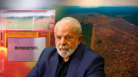 Brazil’s Biofuel: Boom or Climate Bust?