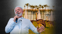Lula fala que come ovos de pata e ema e quer provar de jabutis