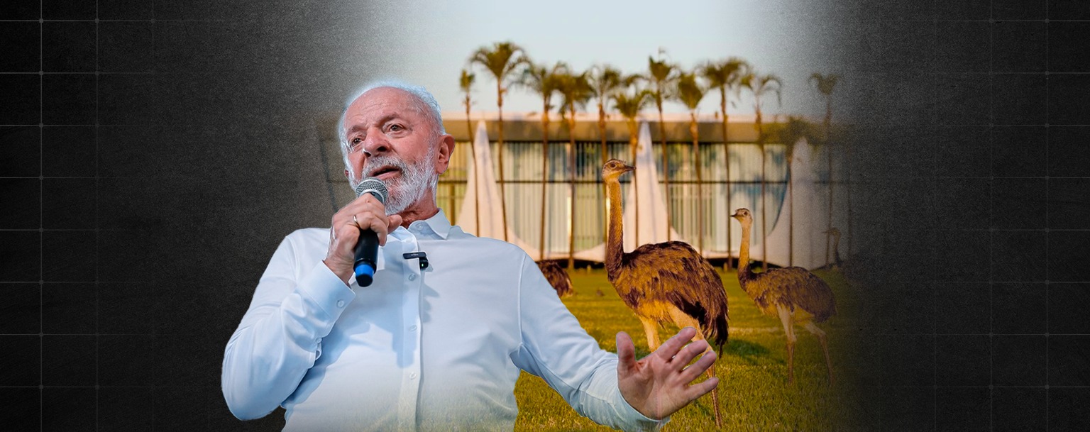 Lula fala que come ovos de pata e ema e quer provar de jabutis