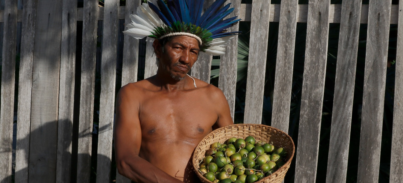 Dia Internacional das Florestas destaca importância do alimentos