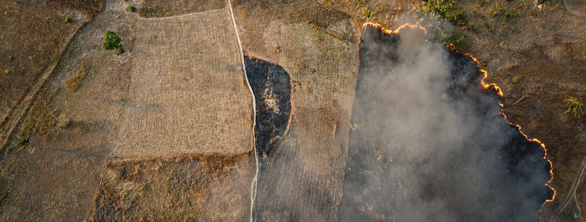 Amazon: 70 municipalities to receive funds to monitor deforestation in 2025