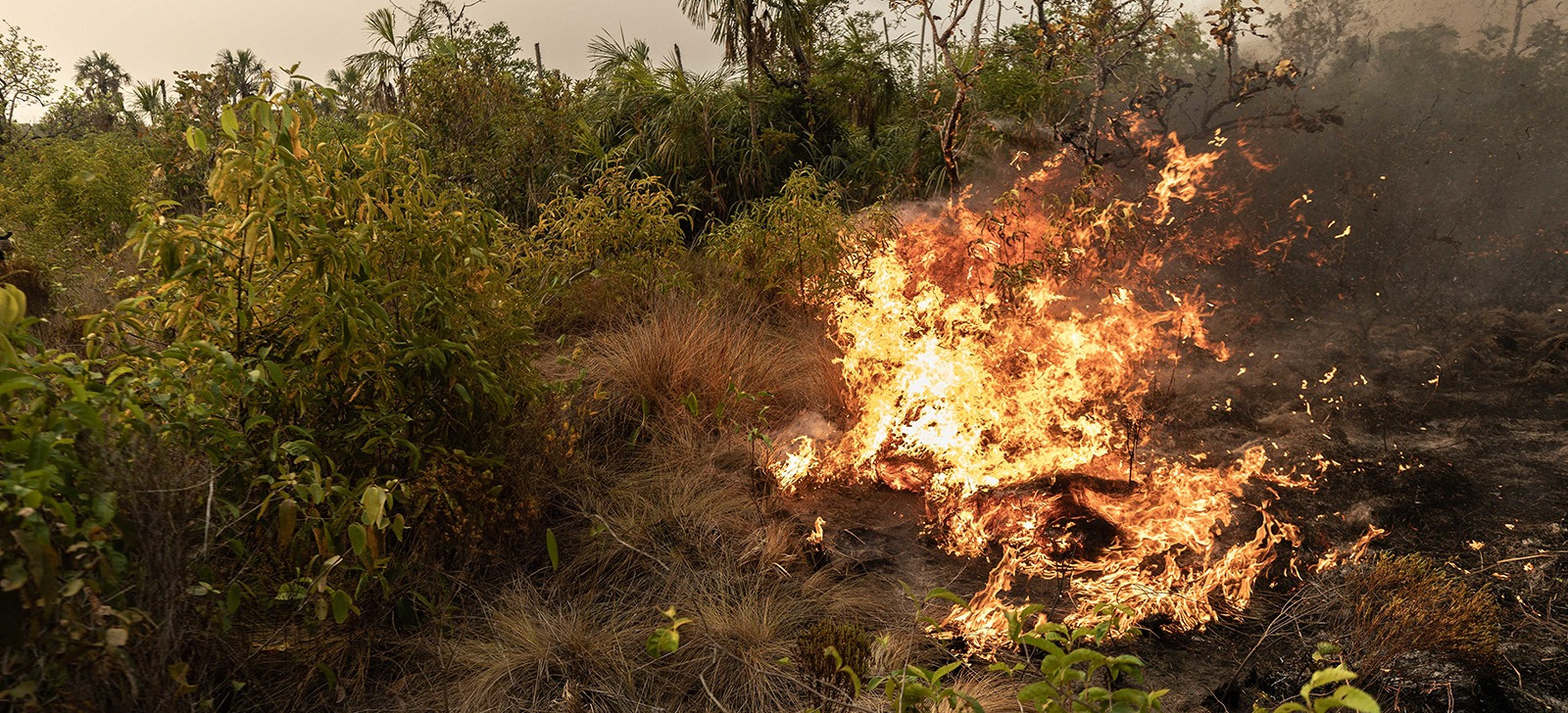 Congresso põe fim em MP que facilitava combate a incêndios florestais
