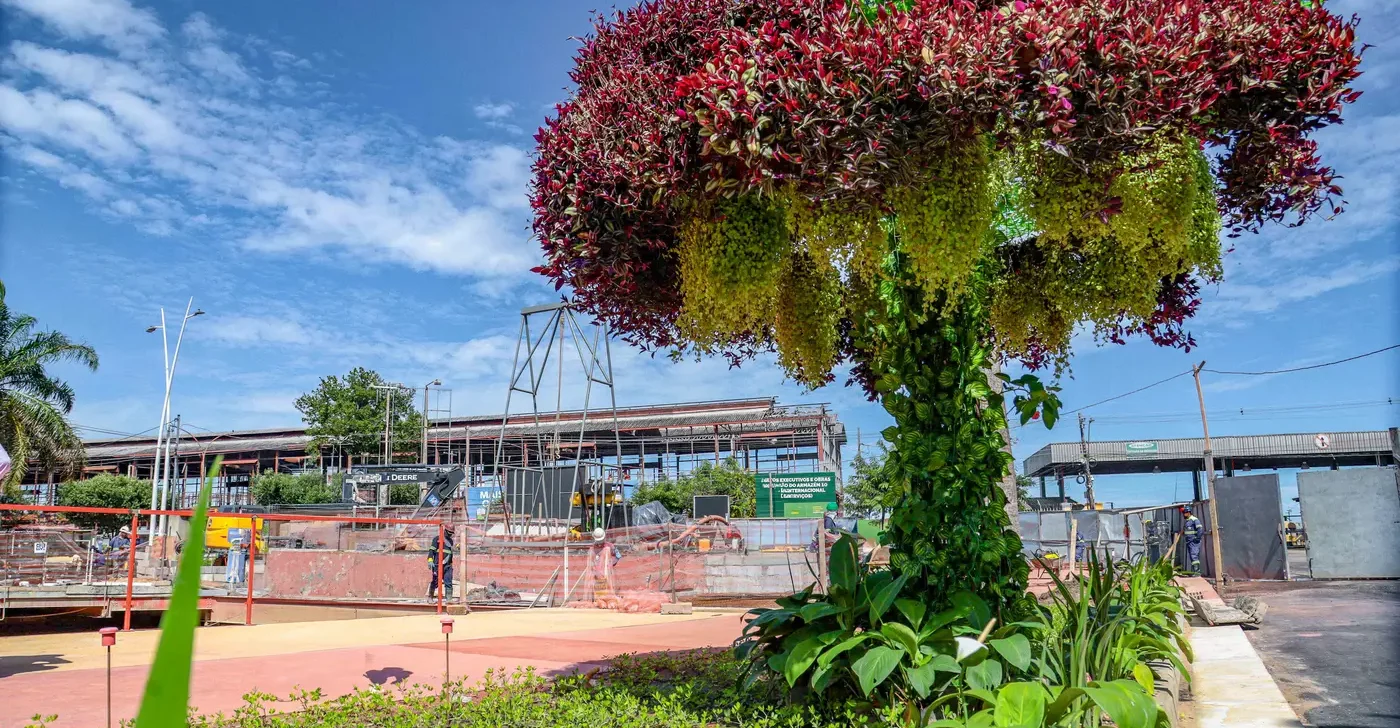 COP30: Host State faces backlash over artificial trees