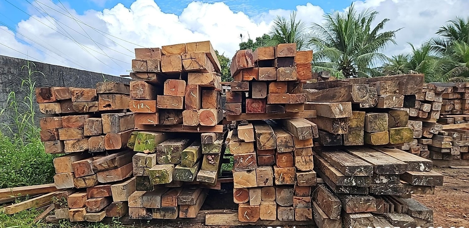 Madeira ilegal é apreendida em fiscalização no Ramal Santo Antônio no AM