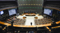 STF decidiu anular eleição de sete deputados federais