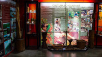 Museu do Homem do Norte abre portas para imersão cultural gratuita
